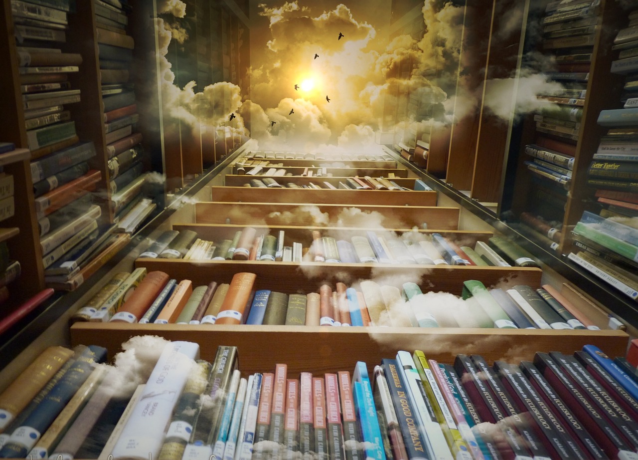 library, heaven, birds-425730.jpg
